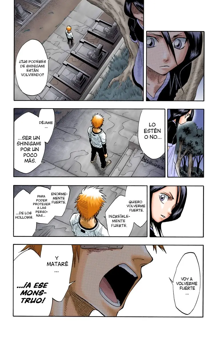 Bleach (Color) capítulo 25, página 16