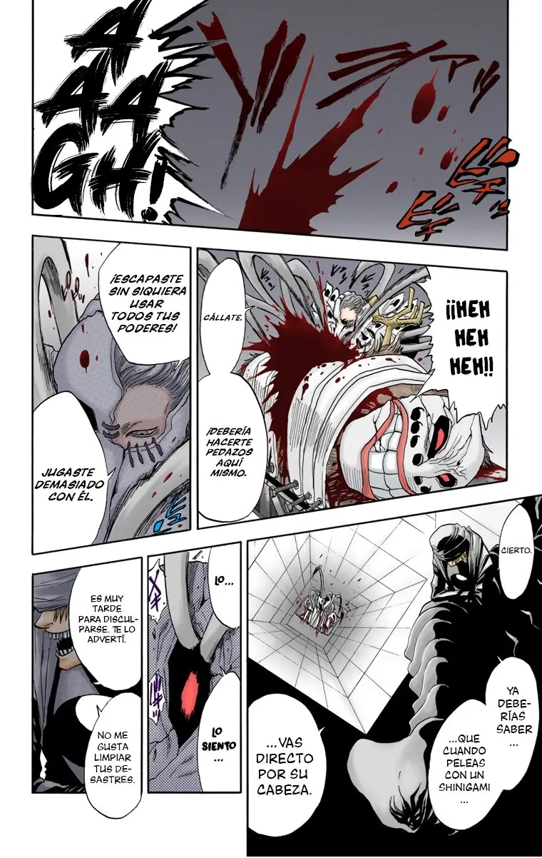 Bleach (Color) capítulo 25, página 18