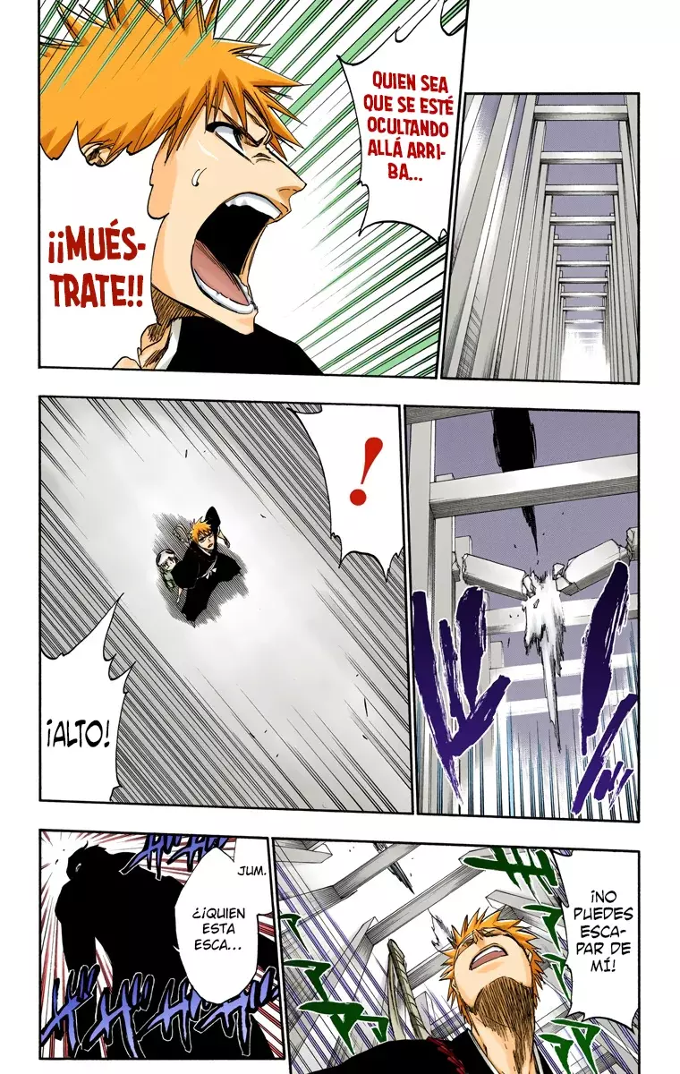 Bleach (Color) capítulo 250, página 8