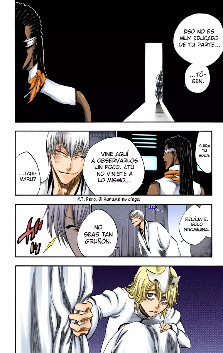 Bleach (Color) capítulo 250, página 15