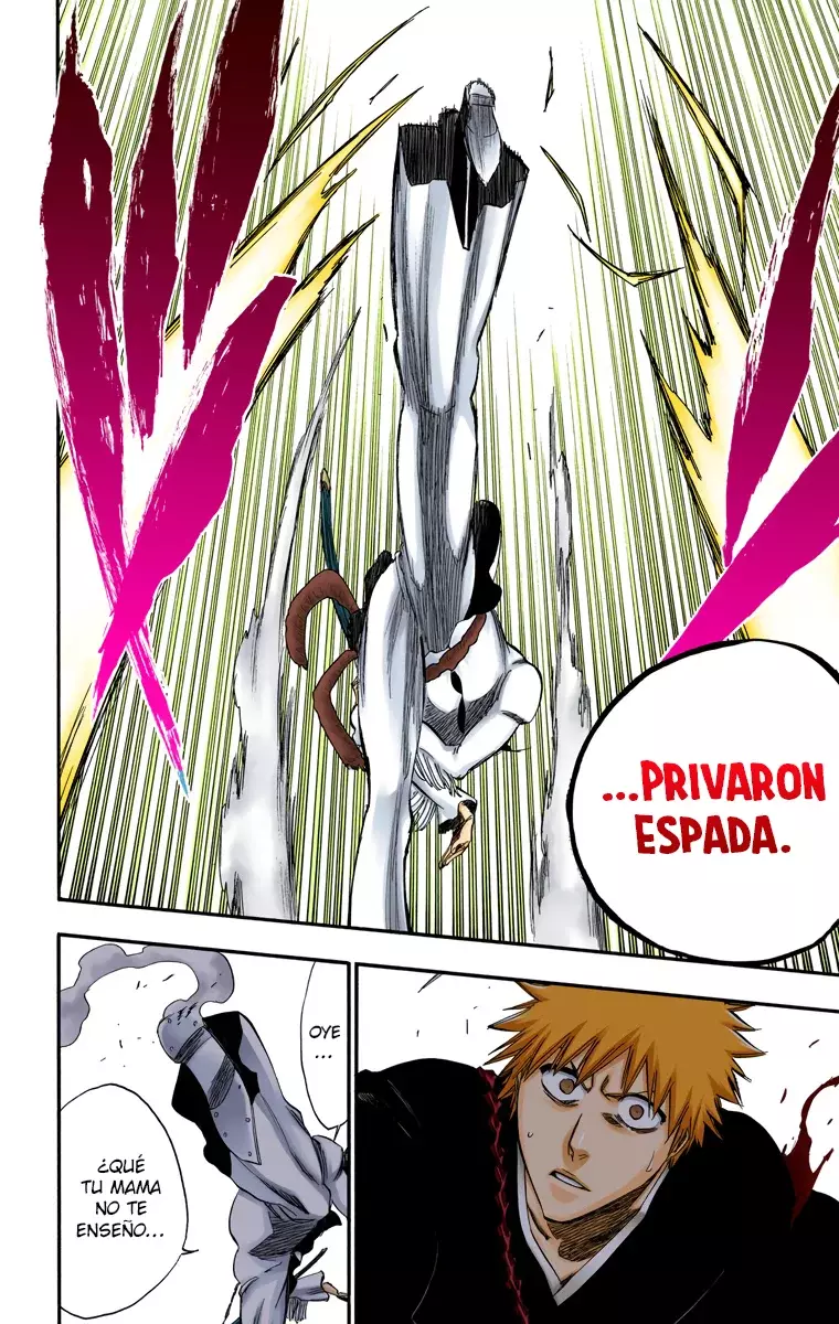 Bleach (Color) capítulo 250, página 21