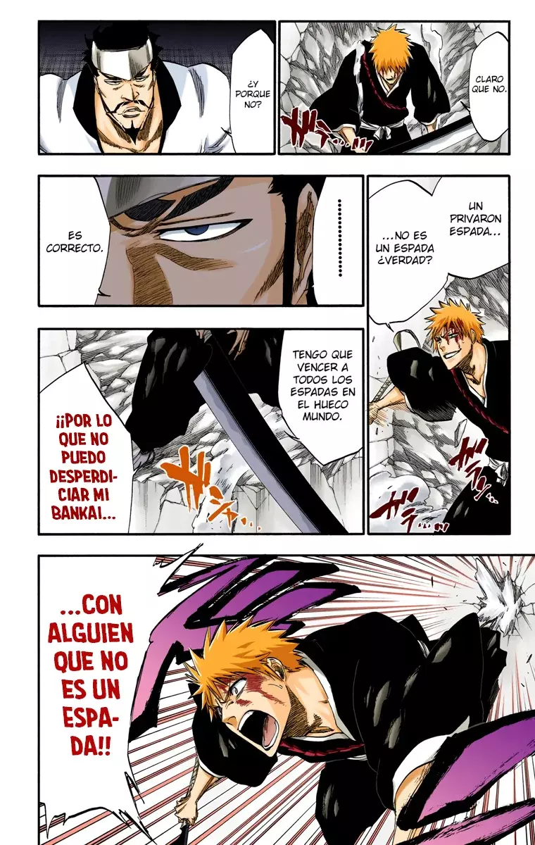 Bleach (Color) capítulo 251, página 11