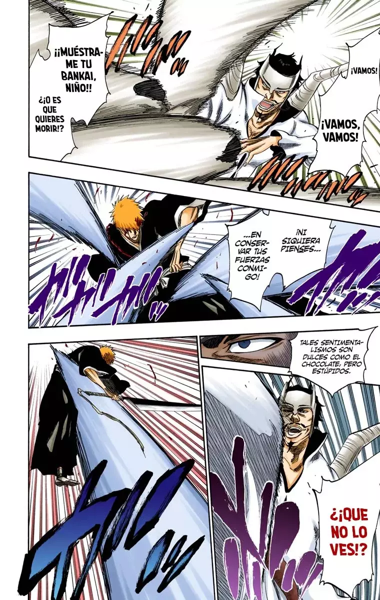 Bleach (Color) capítulo 252, página 14