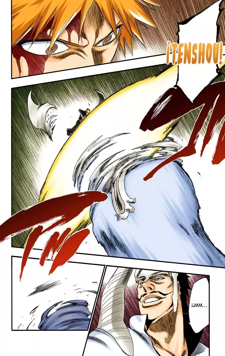 Bleach (Color) capítulo 252, página 16