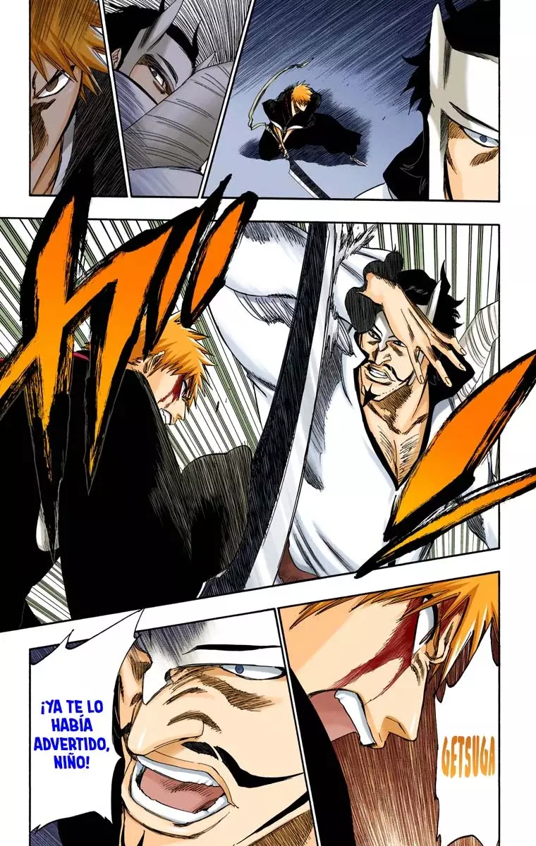 Bleach (Color) capítulo 252, página 17