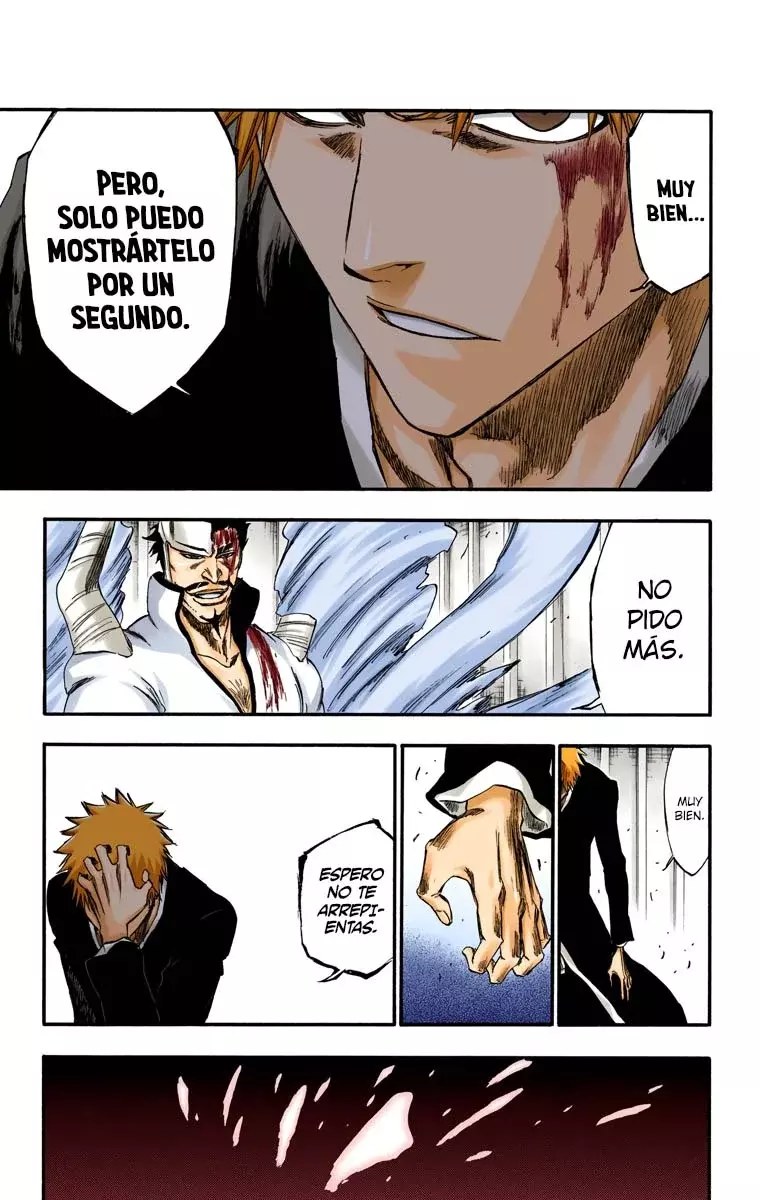 Bleach (Color) capítulo 253, página 14