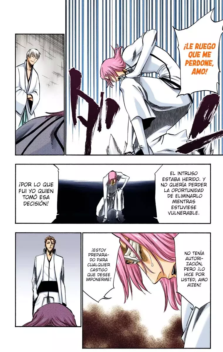 Bleach (Color) capítulo 255, página 6