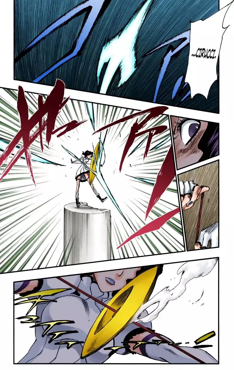 Bleach (Color) capítulo 255, página 13