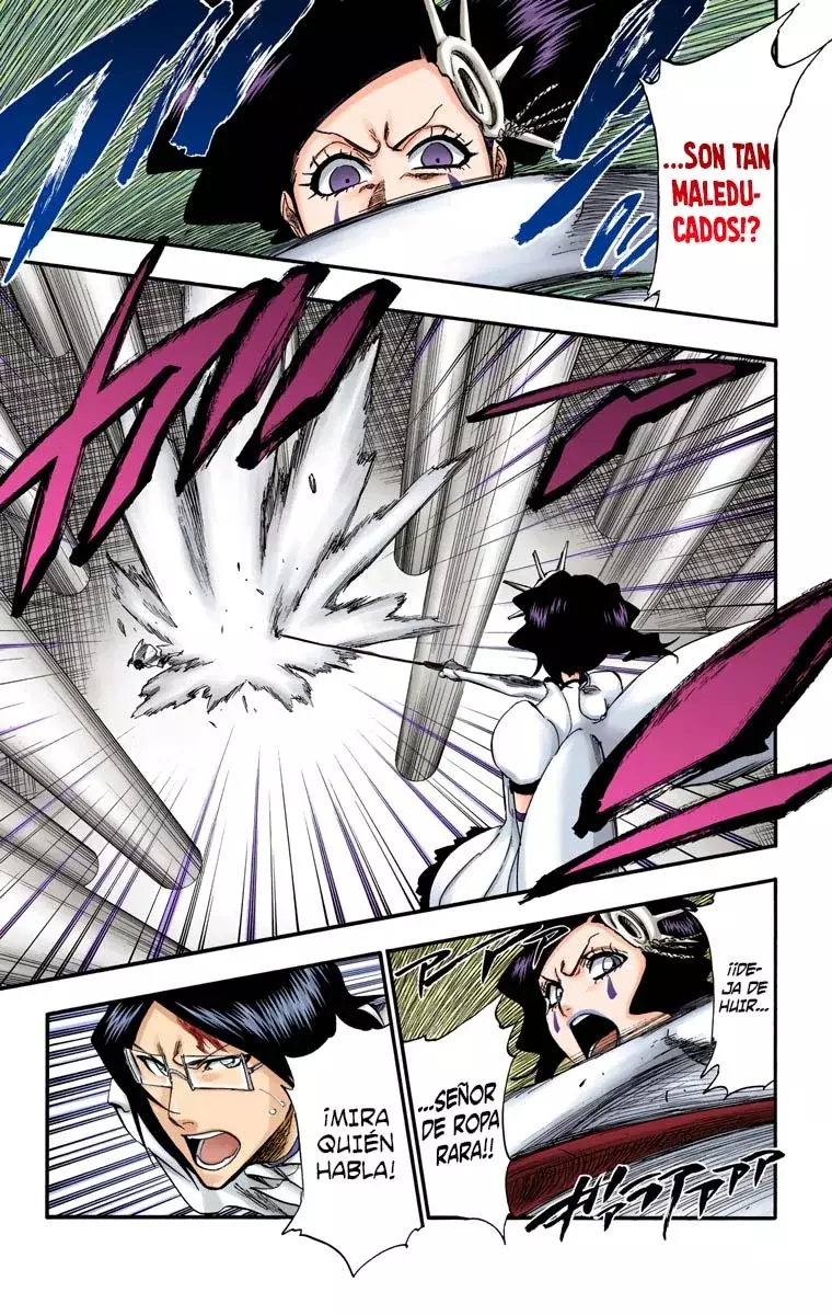 Bleach (Color) capítulo 255, página 15