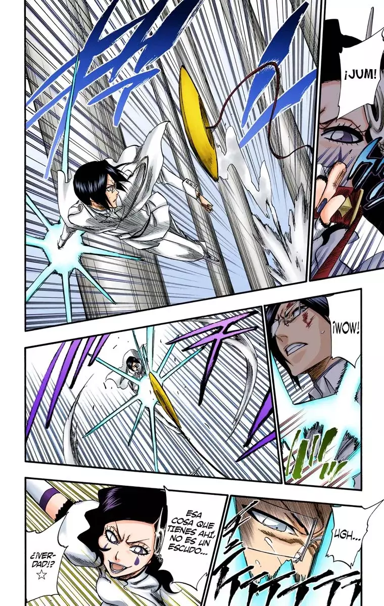 Bleach (Color) capítulo 255, página 16
