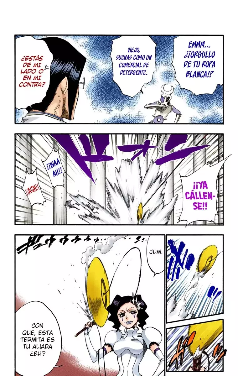 Bleach (Color) capítulo 256, página 12