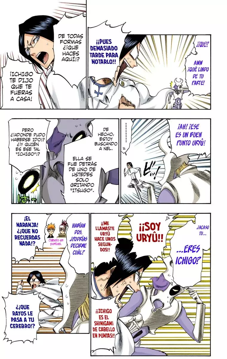Bleach (Color) capítulo 256, página 14