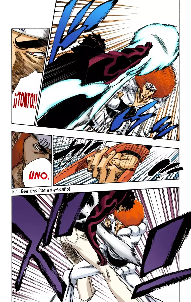Bleach (Color) capítulo 259, página 14
