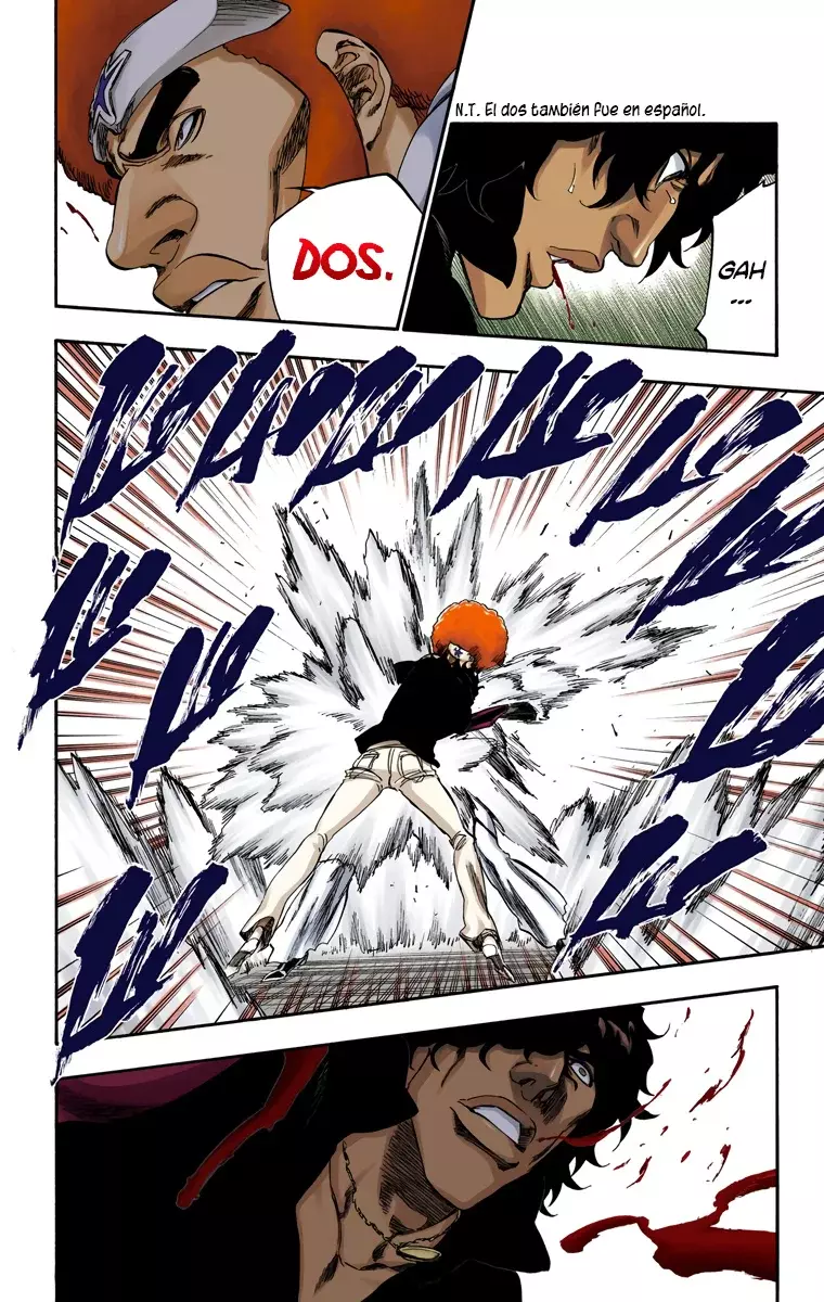 Bleach (Color) capítulo 259, página 15