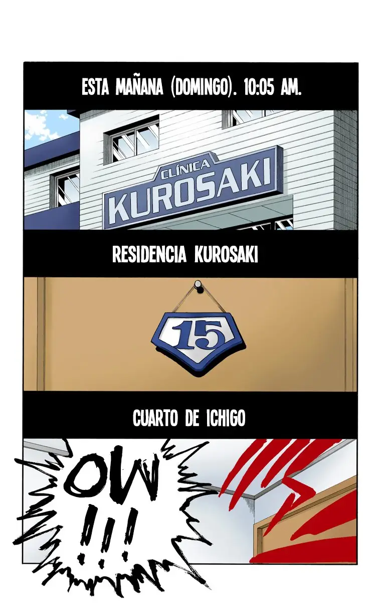 Bleach (Color) capítulo 26, página 9