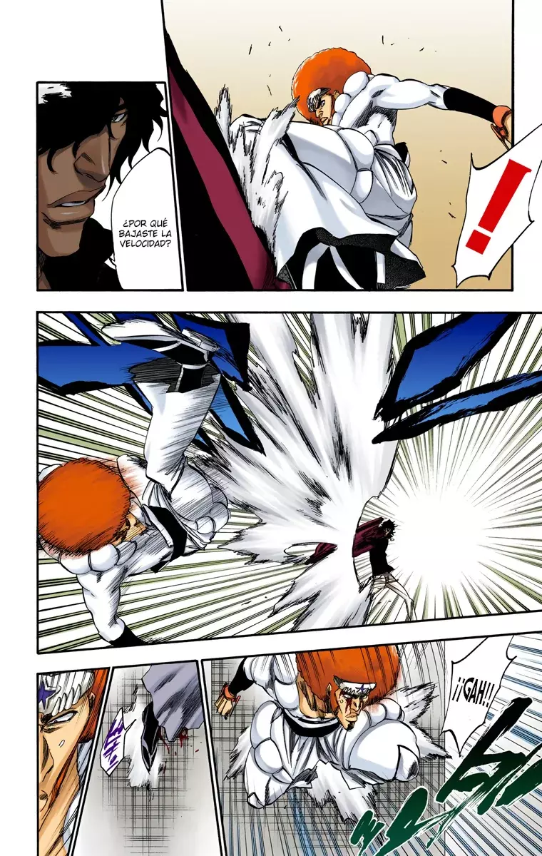 Bleach (Color) capítulo 260, página 9