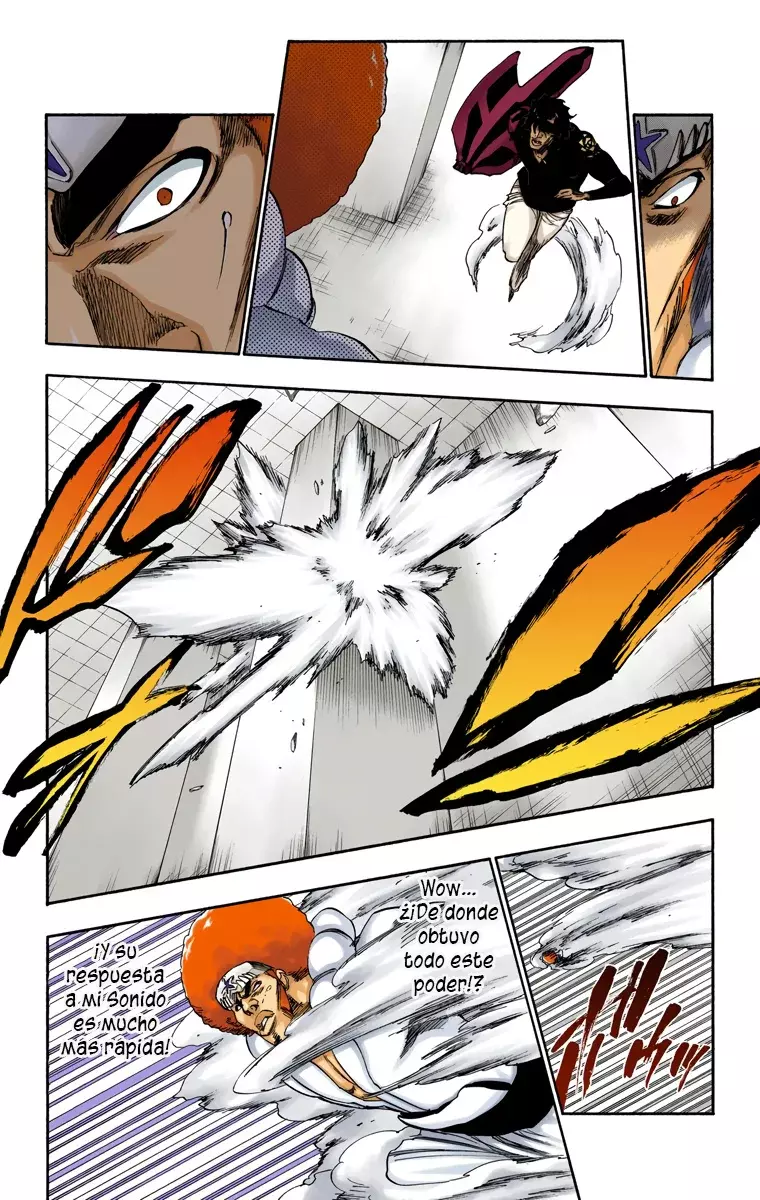 Bleach (Color) capítulo 260, página 10