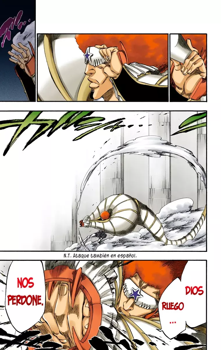 Bleach (Color) capítulo 260, página 14