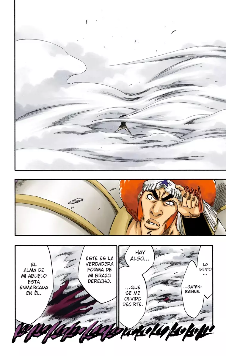 Bleach (Color) capítulo 260, página 17