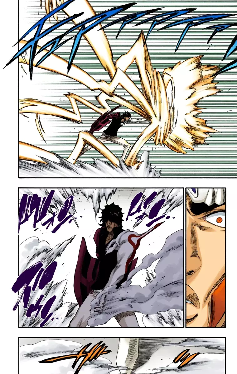 Bleach (Color) capítulo 261, página 11