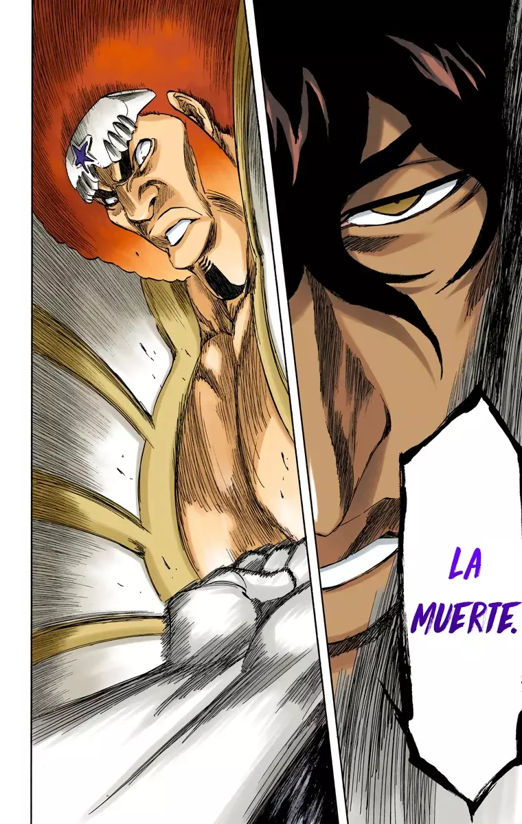 Bleach (Color) capítulo 261, página 15