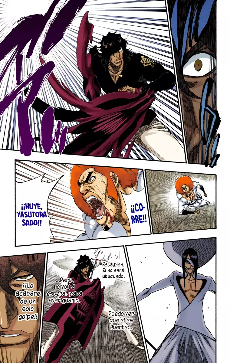 Bleach (Color) capítulo 261, página 22