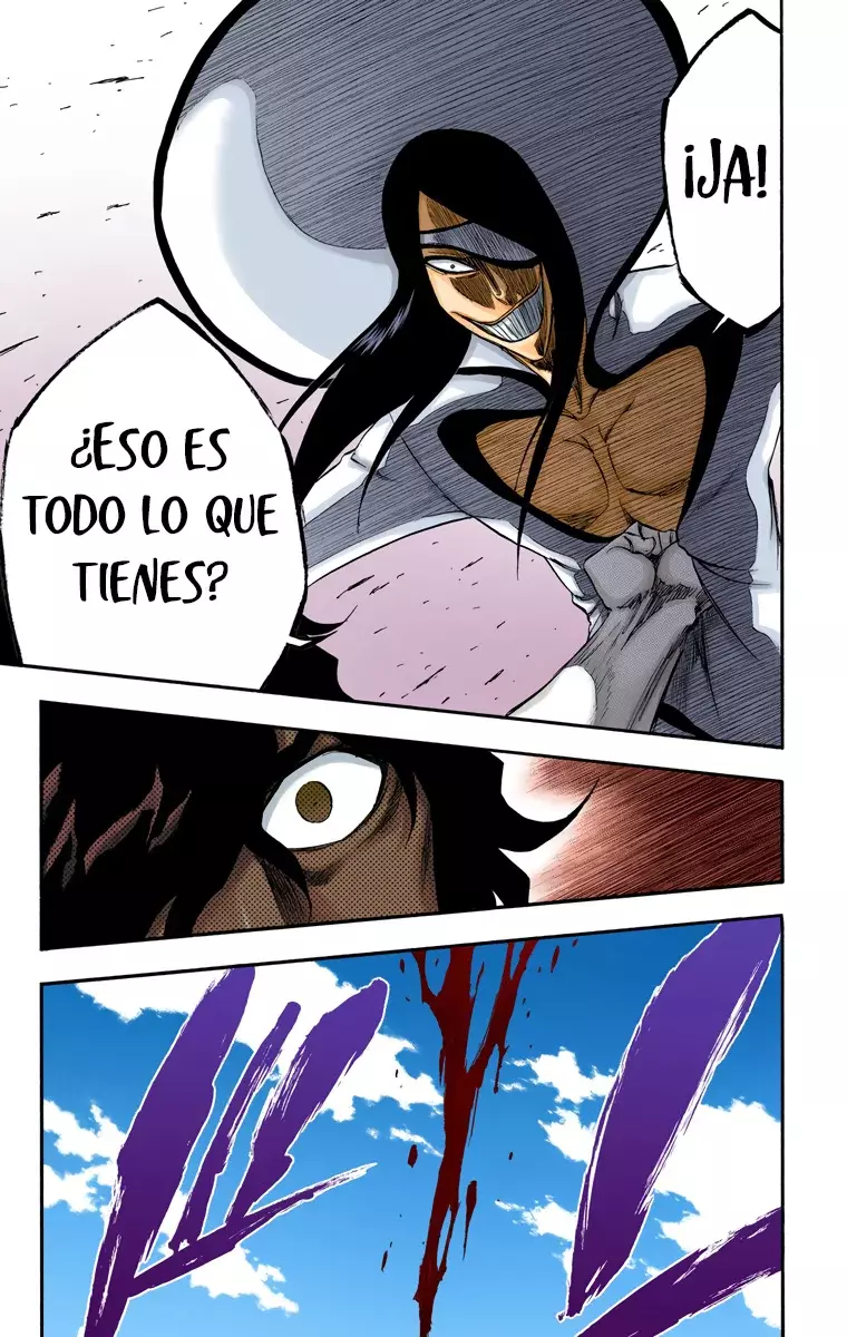 Bleach (Color) capítulo 261, página 24