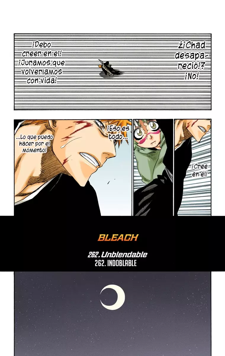 Bleach (Color) capítulo 262, página 6