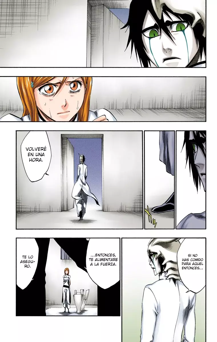 Bleach (Color) capítulo 262, página 14