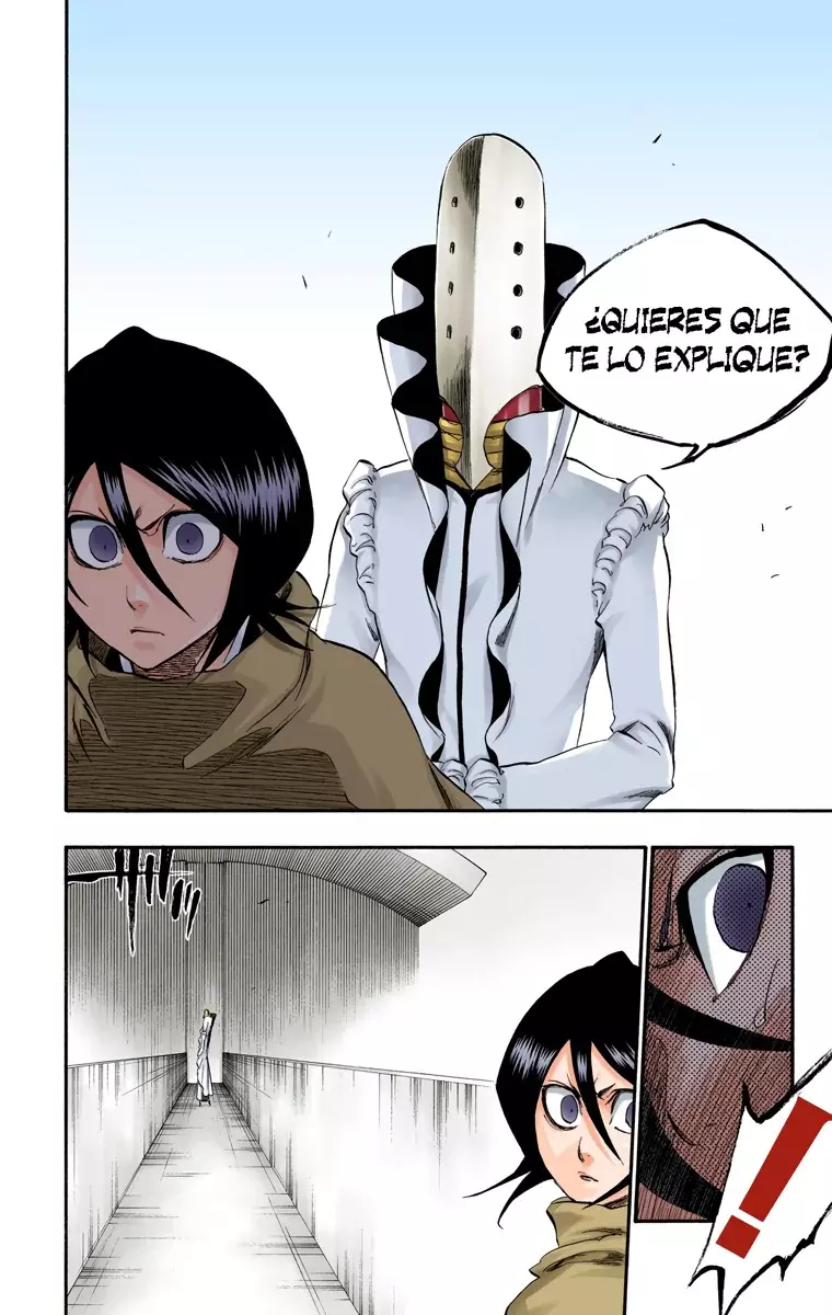 Bleach (Color) capítulo 262, página 17