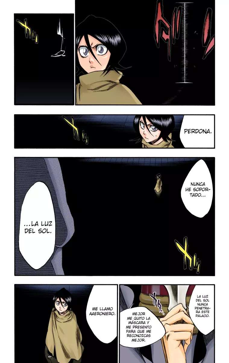Bleach (Color) capítulo 262, página 19