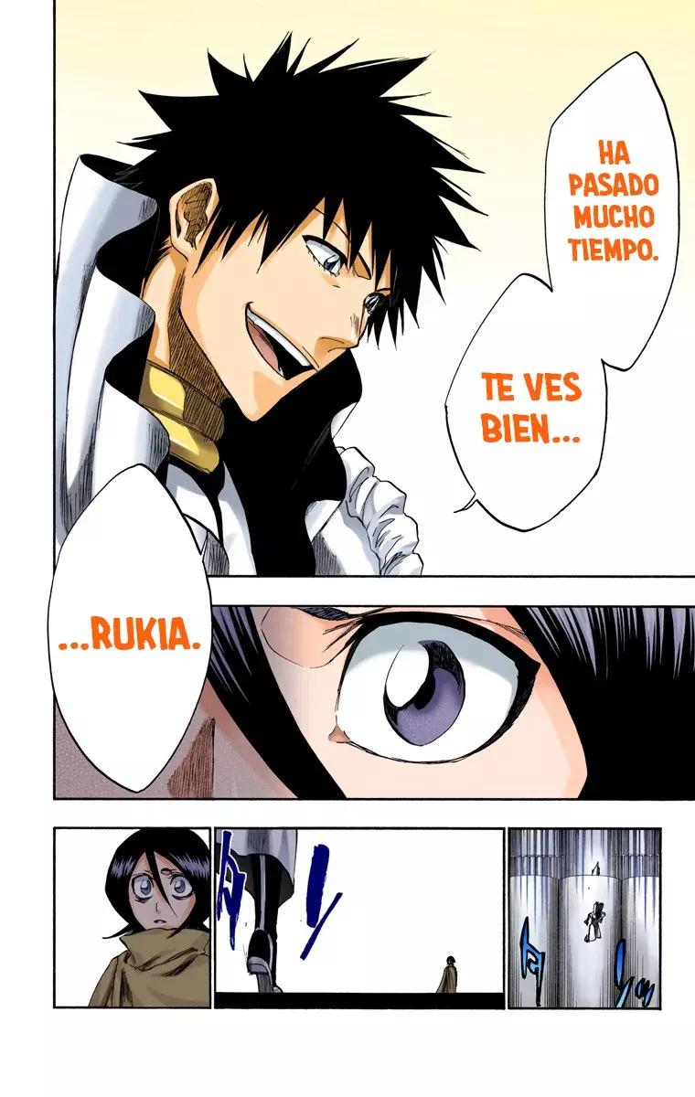 Bleach (Color) capítulo 263, página 13