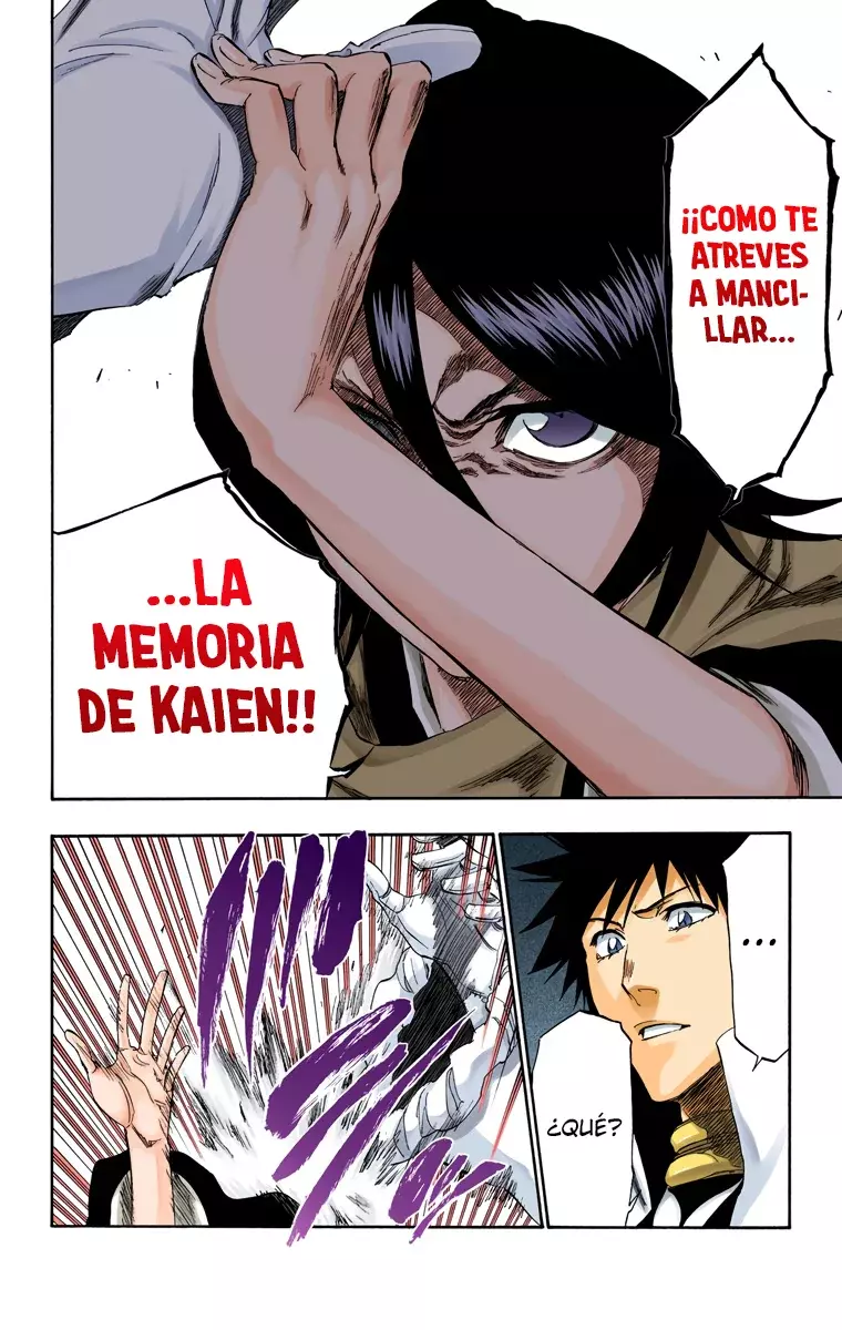 Bleach (Color) capítulo 264, página 15