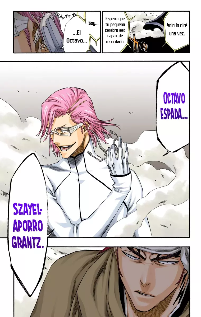 Bleach (Color) capítulo 264, página 22