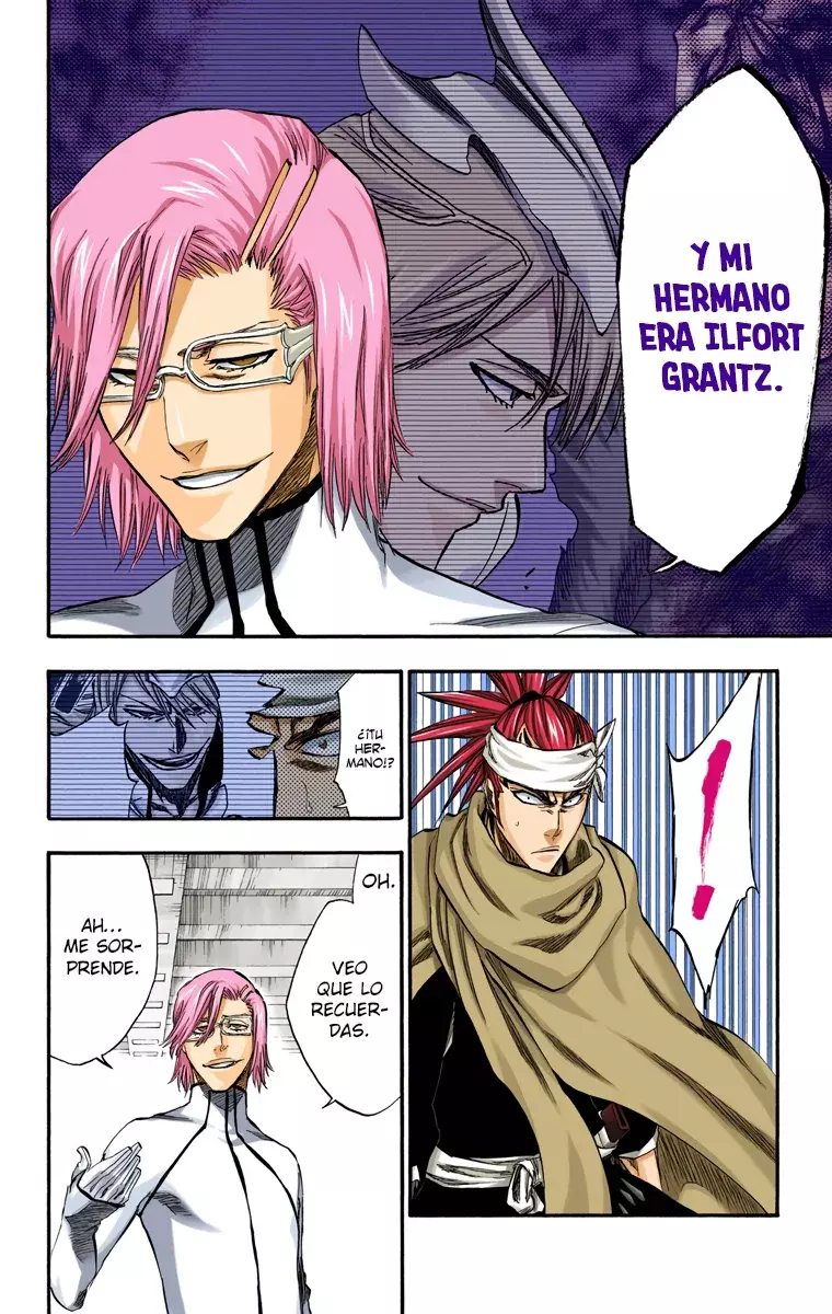 Bleach (Color) capítulo 265, página 14