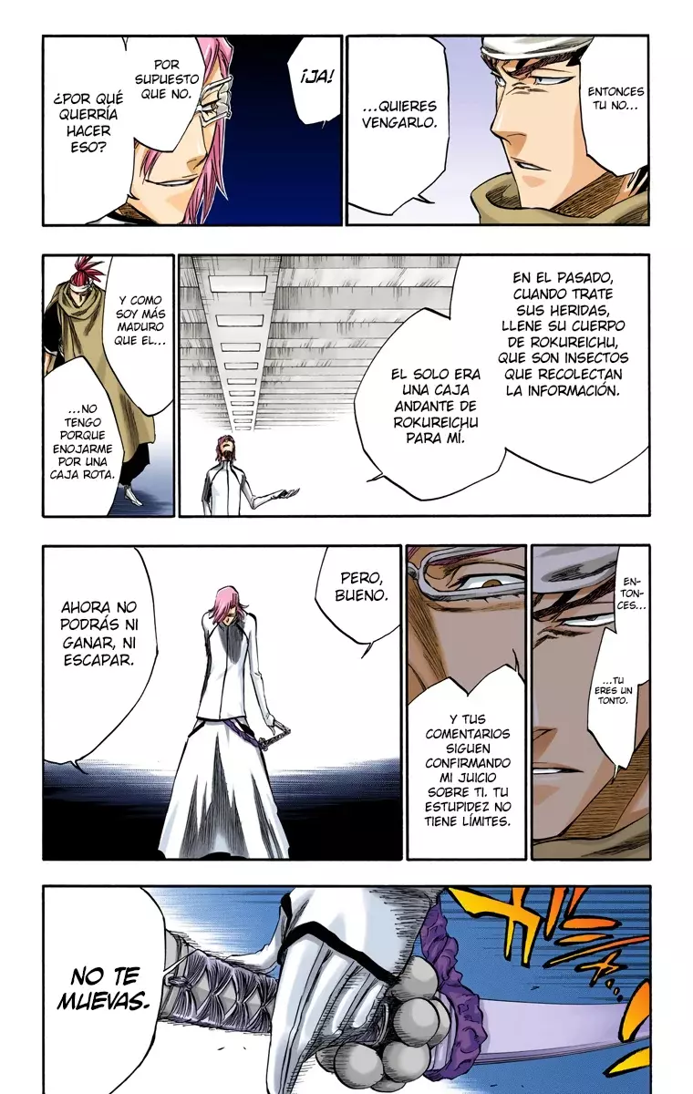 Bleach (Color) capítulo 265, página 15