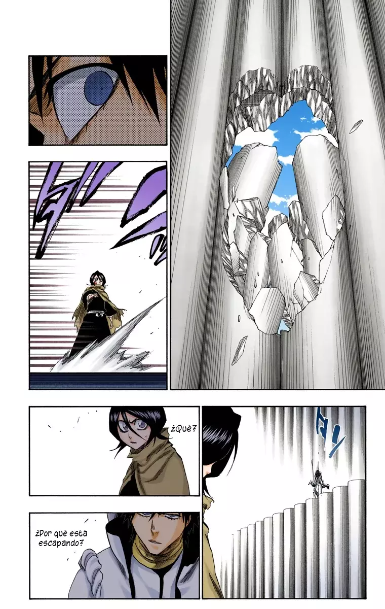 Bleach (Color) capítulo 266, página 13