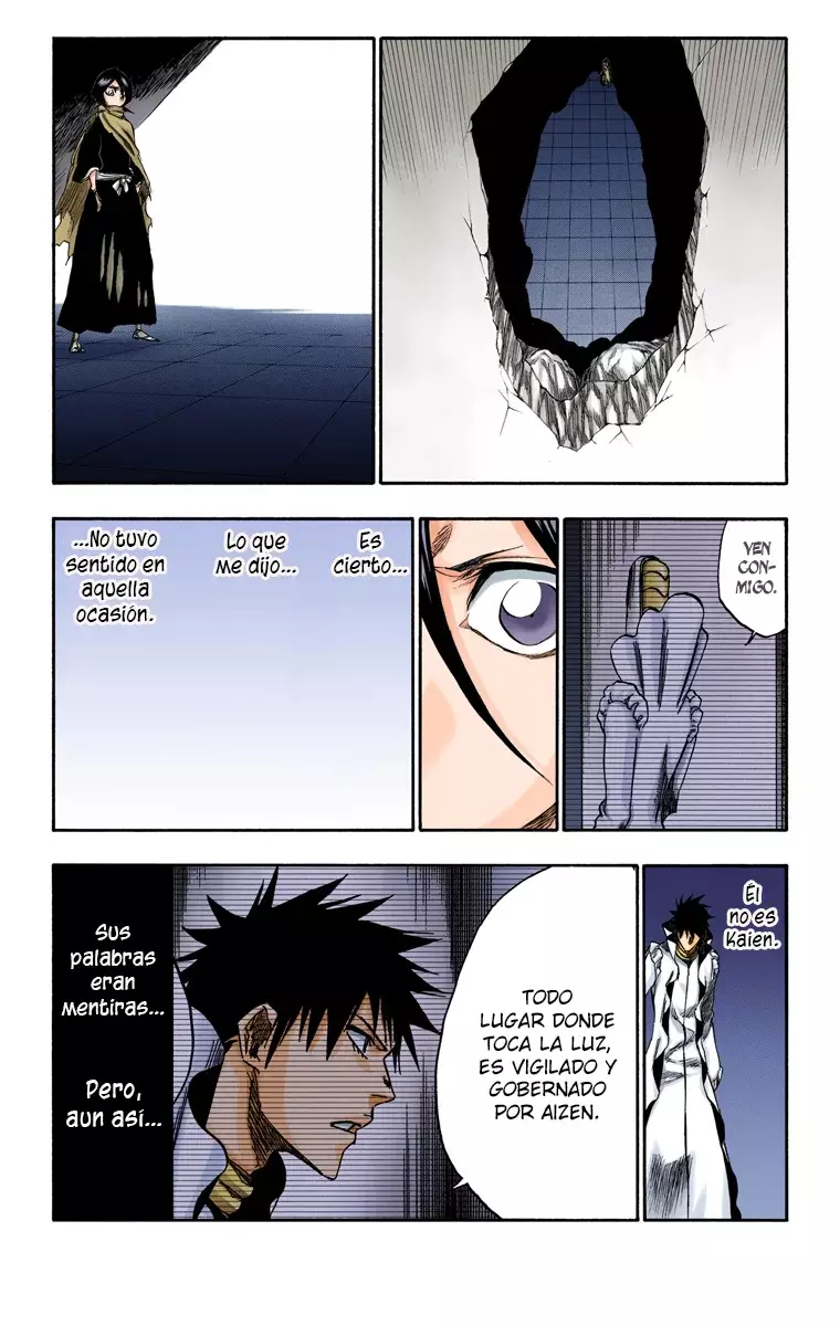 Bleach (Color) capítulo 266, página 14