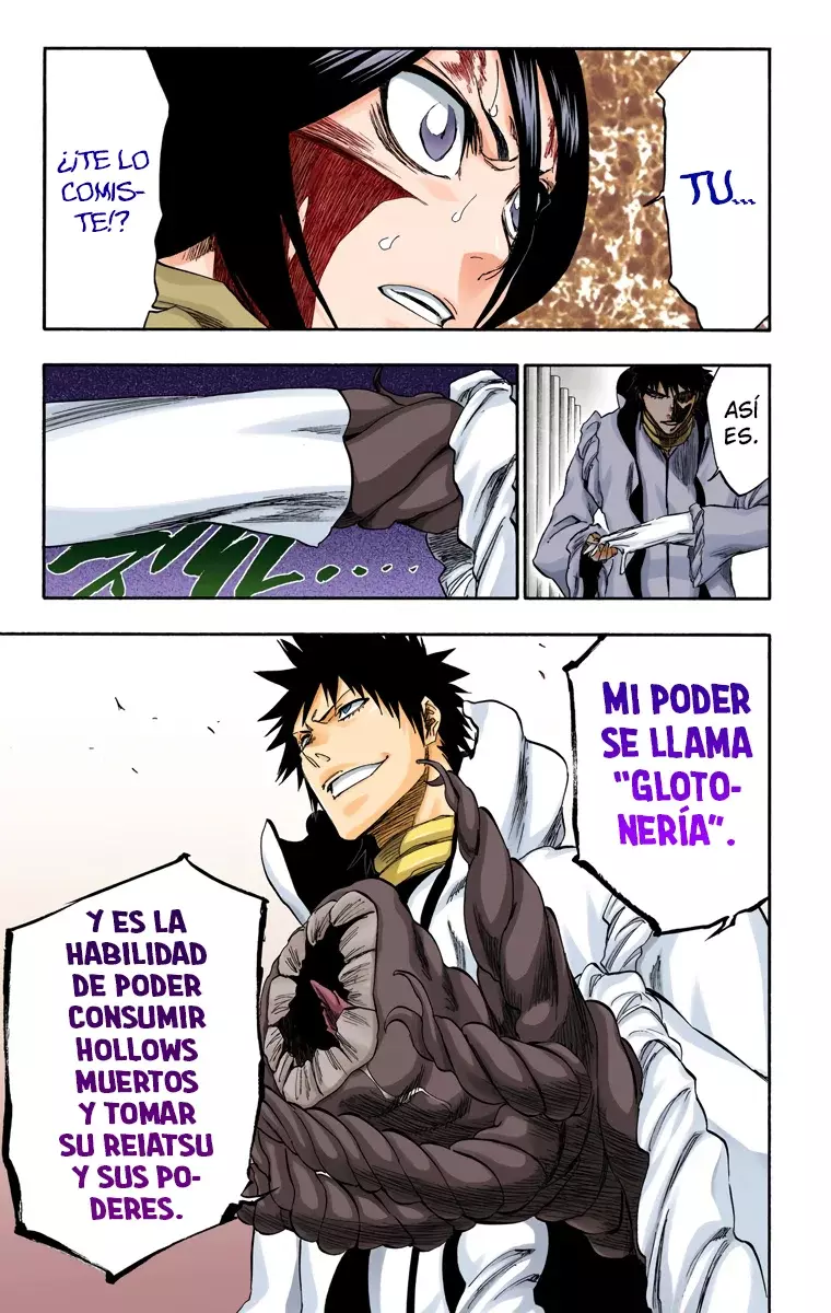 Bleach (Color) capítulo 267, página 10