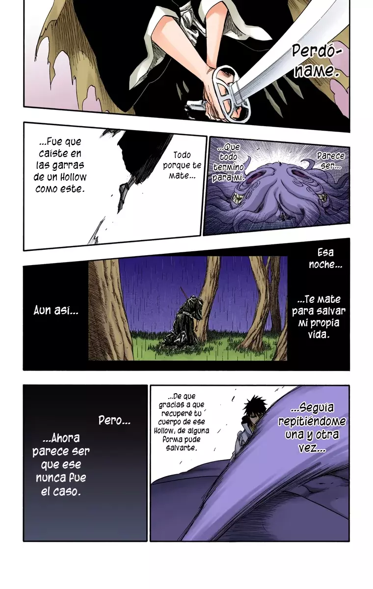 Bleach (Color) capítulo 267, página 16