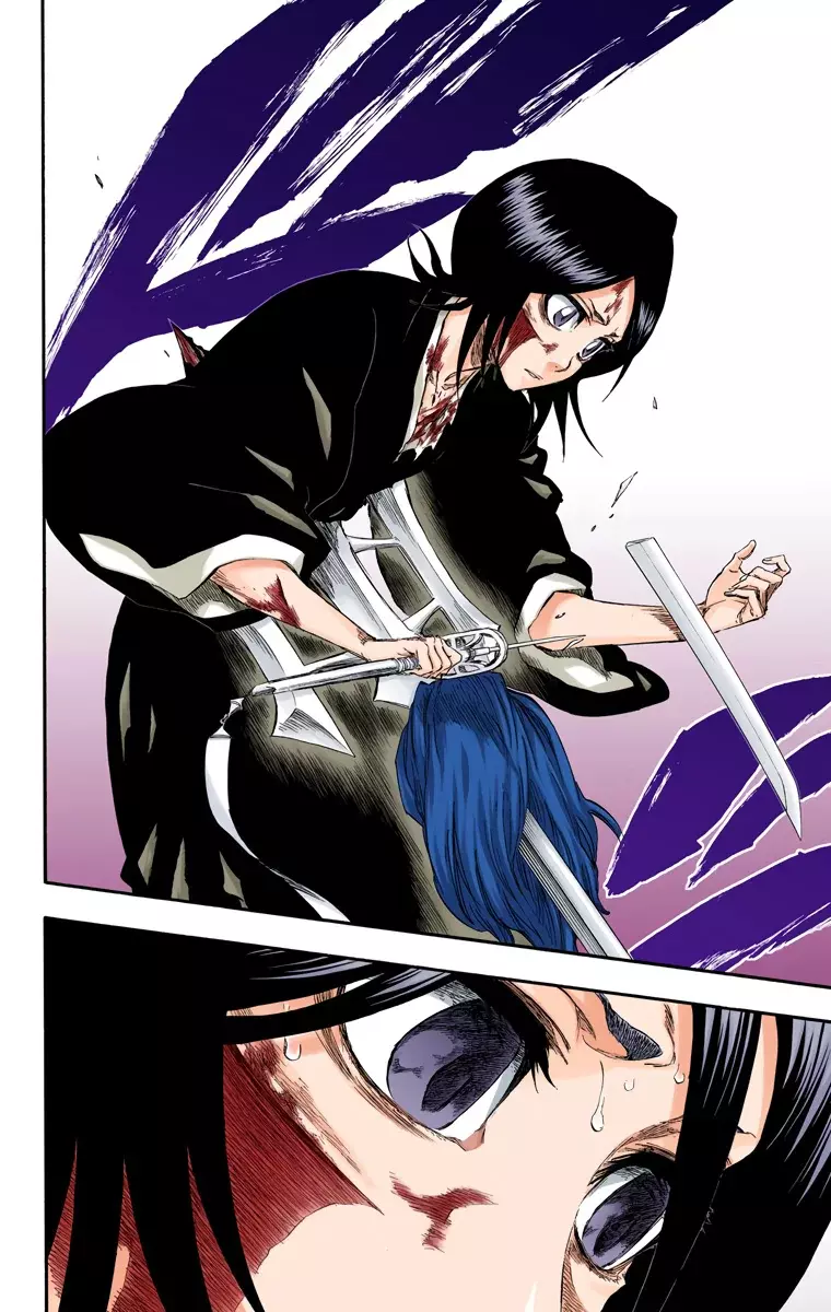 Bleach (Color) capítulo 267, página 18