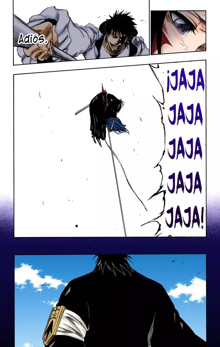 Bleach (Color) capítulo 267, página 19