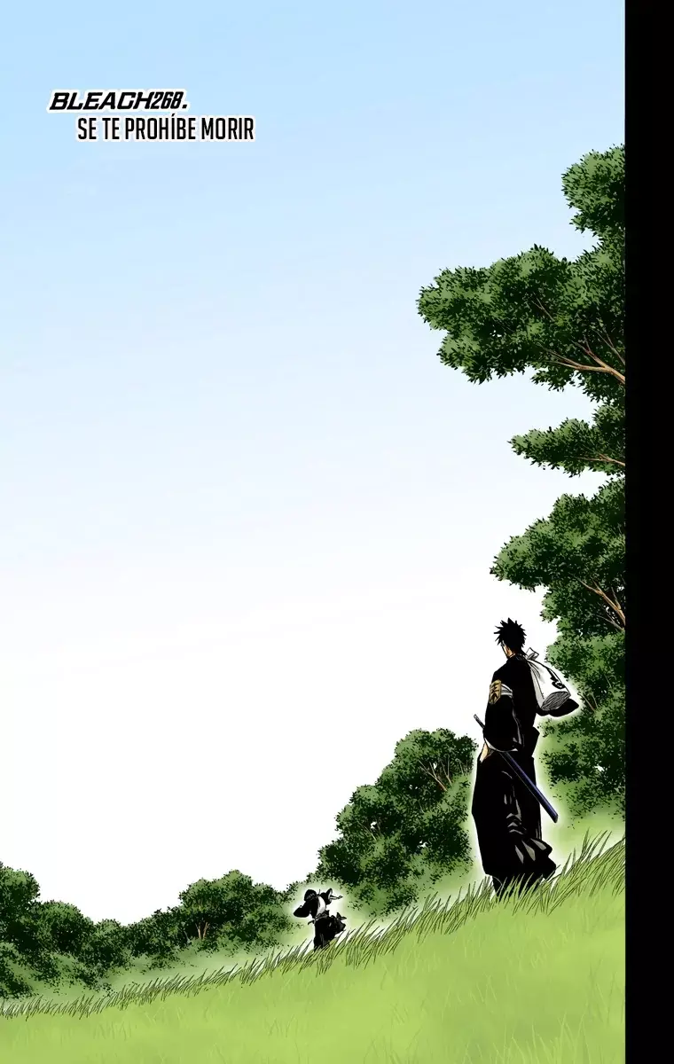 Bleach (Color) capítulo 268, página 6