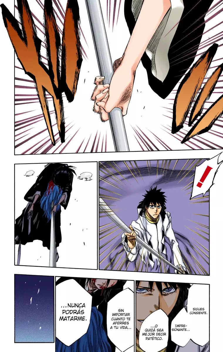 Bleach (Color) capítulo 268, página 17
