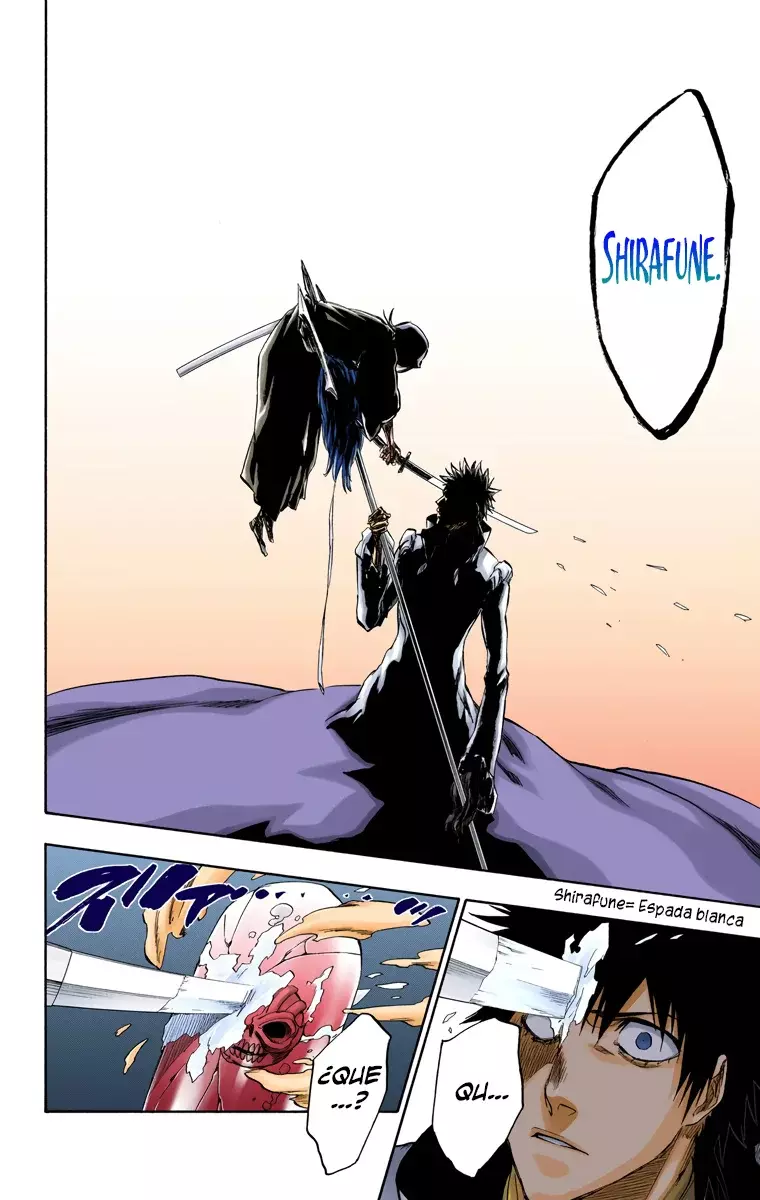 Bleach (Color) capítulo 268, página 19