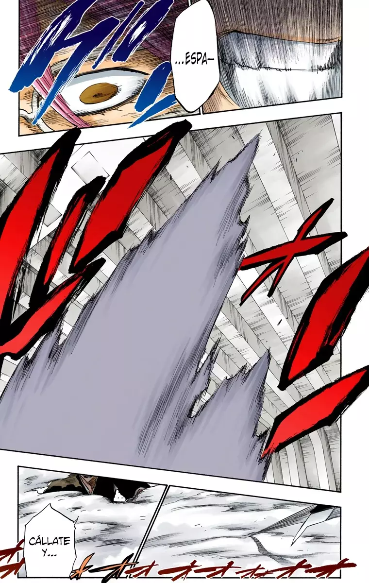 Bleach (Color) capítulo 269, página 16