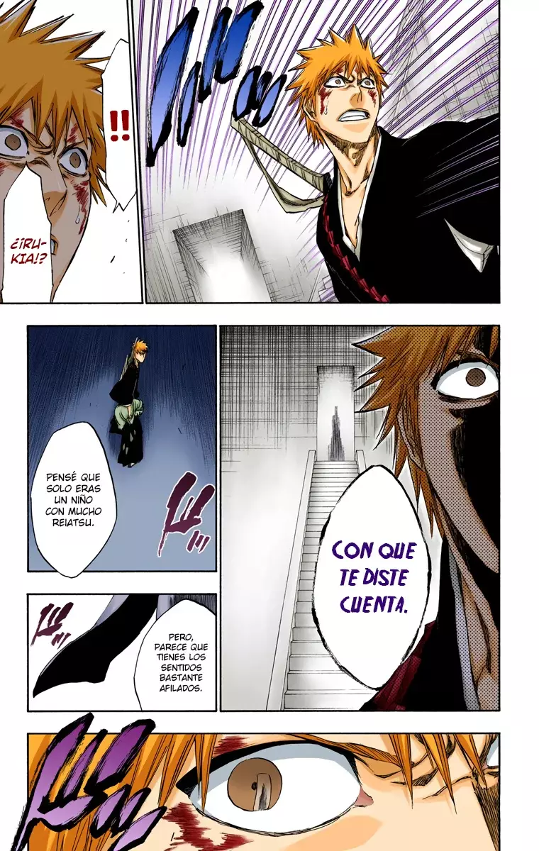 Bleach (Color) capítulo 269, página 18
