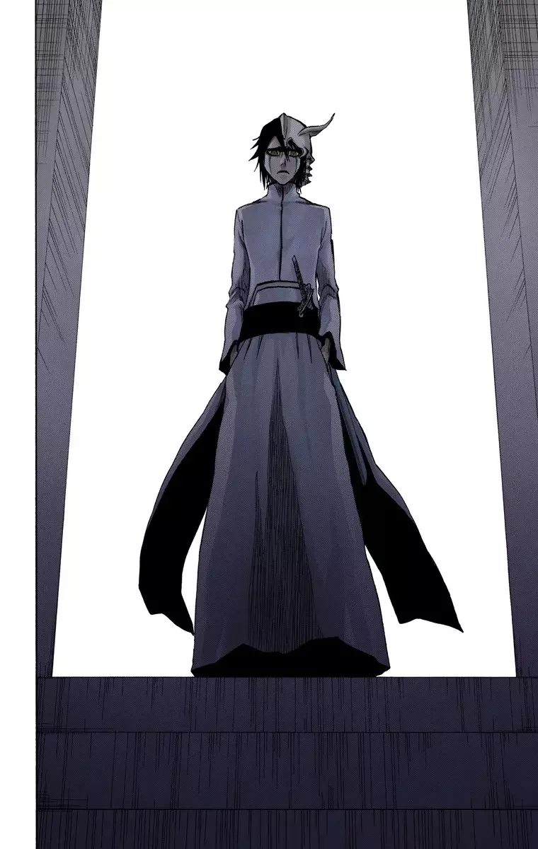 Bleach (Color) capítulo 269, página 19
