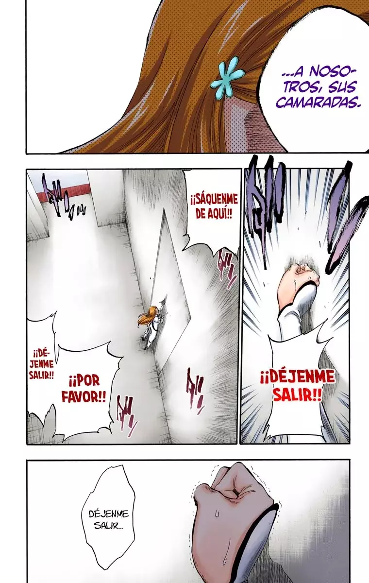 Bleach (Color) capítulo 270, página 13