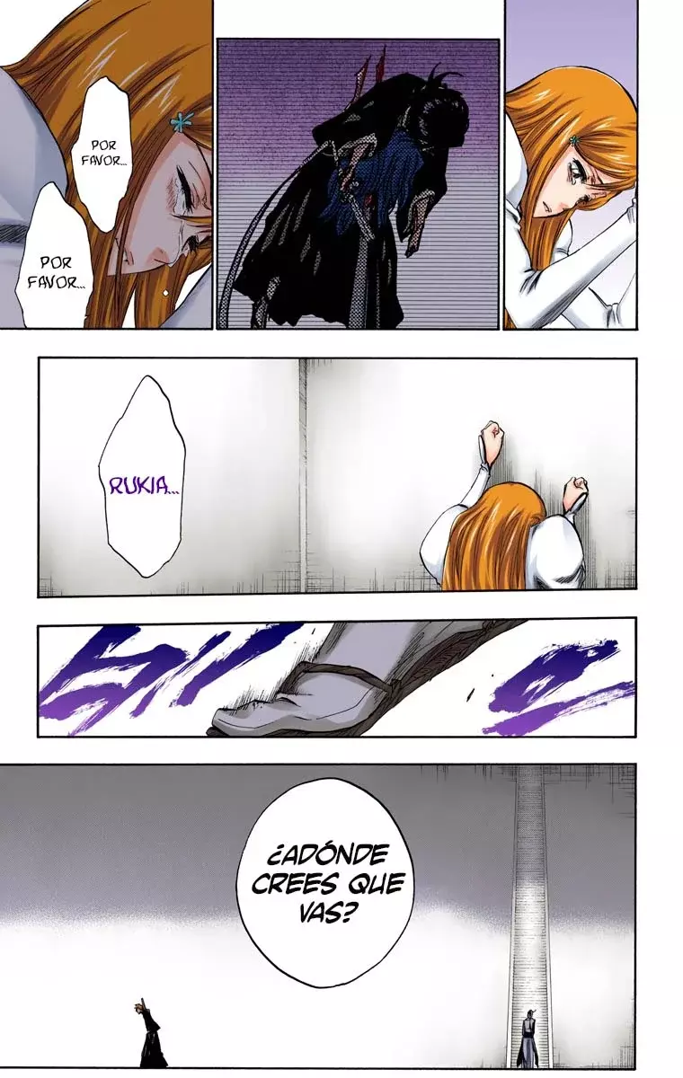 Bleach (Color) capítulo 270, página 14